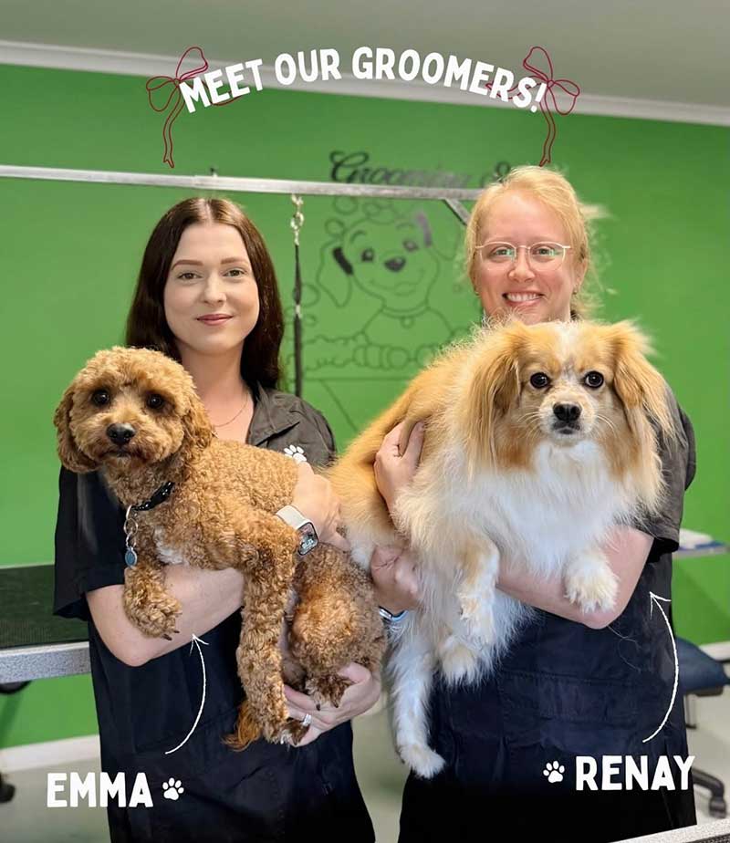 Groomers-Photo